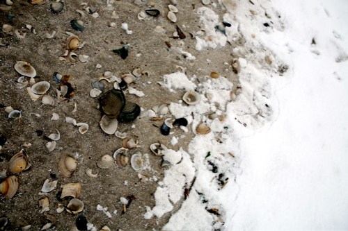 snow-beach-17.jpg