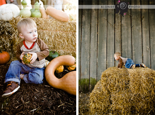 blonde-photo-riley-11