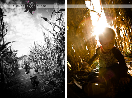 blonde-photo-riley-3