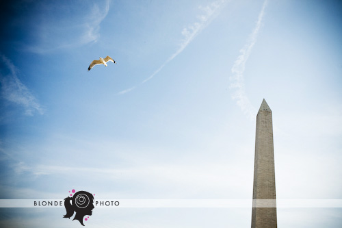 blonde-photo-422-4619