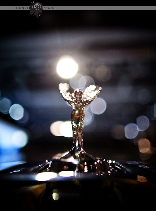 blonde-photo-autoshow-05511