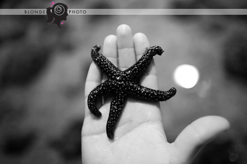 blondephoto-kw-3491 blondephoto-kw-3491