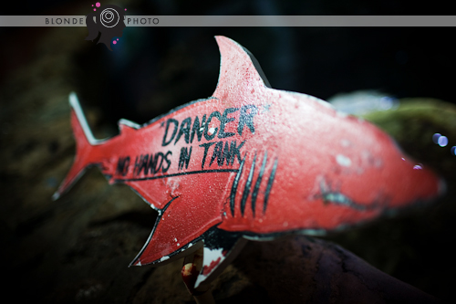 blondephoto-kw-3494 blondephoto-kw-3494