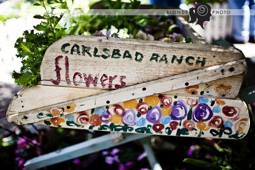 blondephoto-7393 blondephoto-7393