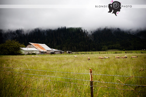 BLONDEPHOTO_090619_5622