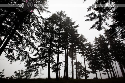 BLONDEPHOTO_090619_5650