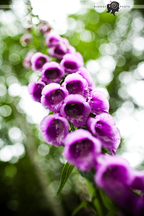 BLONDEPHOTO_090619_5769