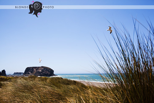 BLONDEPHOTO_090621_6039