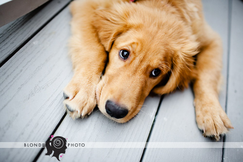 BLONDEPHOTO_090704_9994