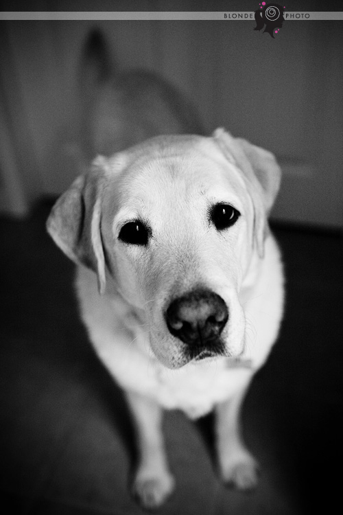 BLONDEPHOTO_090705_0165