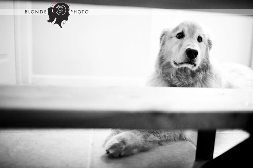 BLONDEPHOTO_090705_0210