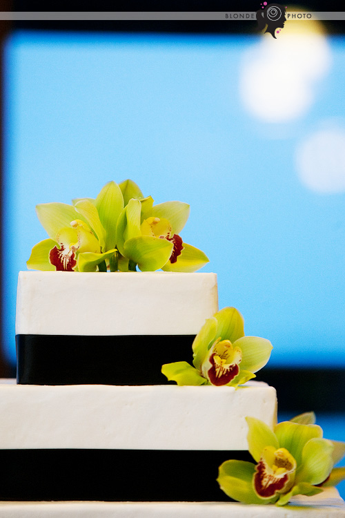 BLONDEPHOTO_090711_070_4431 BLONDEPHOTO_090711_070_4431