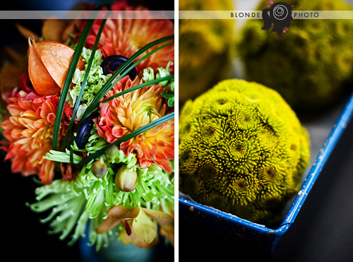 BLONDEPHOTO_090711_1a BLONDEPHOTO_090711_1a