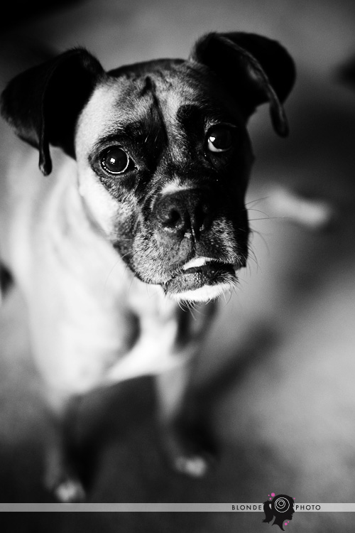 BLONDEPHOTO_090719_002_7305