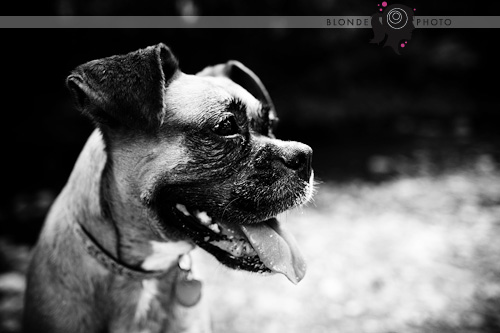 BLONDEPHOTO_090719_010_7341