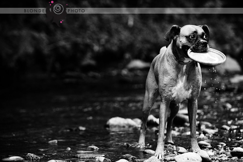 BLONDEPHOTO_090719_013_2229