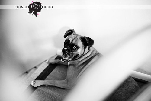 BLONDEPHOTO_090719_035_7498