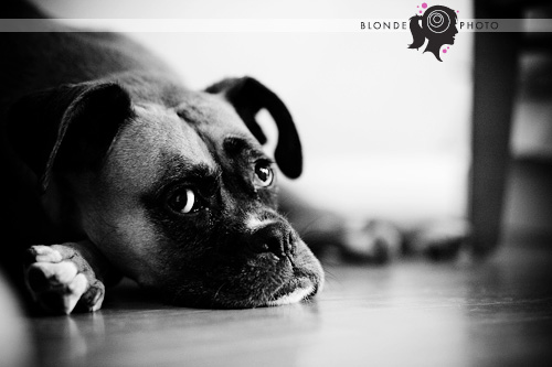 BLONDEPHOTO_090719_036_2380