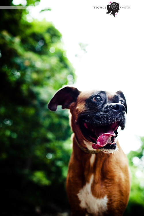 BLONDEPHOTO_090719_046_7320