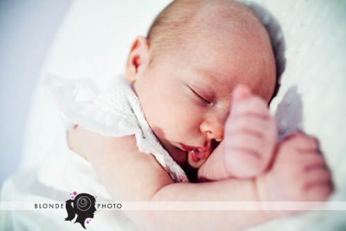 BLONDEPHOTO_090917_001-3