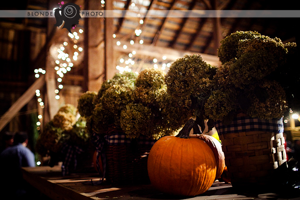 BLONDEPHOTO_090926_014_5390 BLONDEPHOTO_090926_014_5390