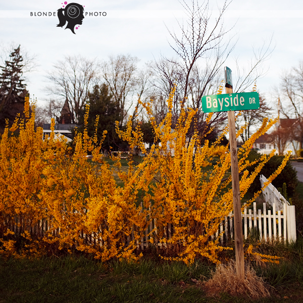 BLONDE_PHOTO_100402_015_4352