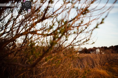 BLONDE_PHOTO_100402_020_4377