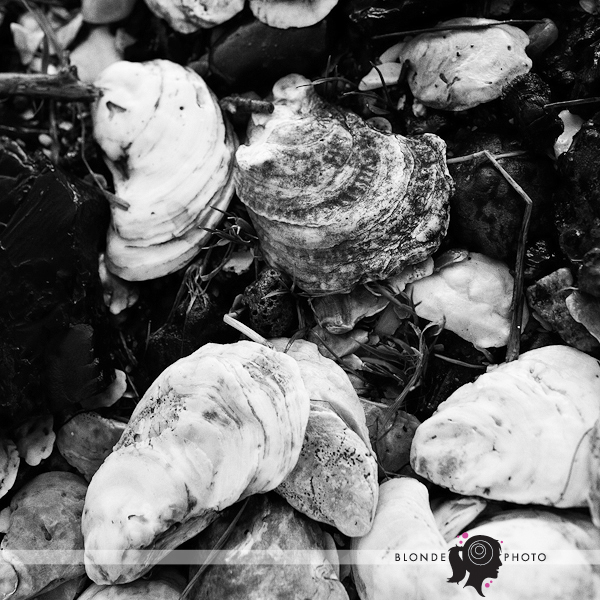 BLONDE_PHOTO_100402_027_4421