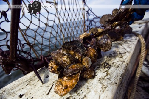 BLONDE_PHOTO_100712_130_1667