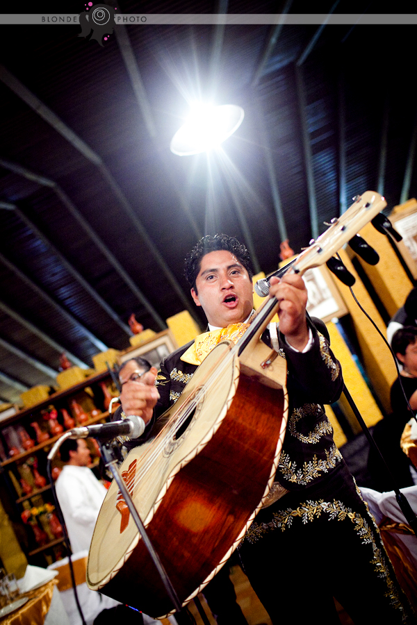 blonde_photo_110212_159_3171